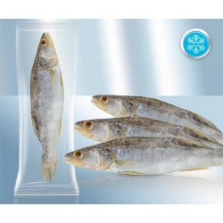 Судак потрошеный, с головой, солено-сушеный, в вакуумной упаковке, замороженный
